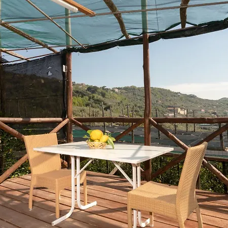 Limoneto A Priora By Interhome Apartment Massa Lubrense