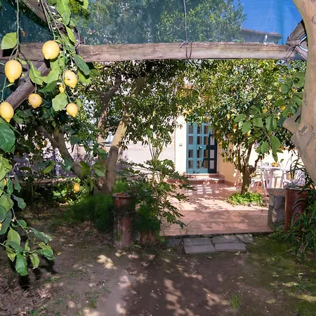 Limoneto A Priora By Interhome Apartment